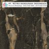 Marmer PVC Shunda Panel - Vena GiallaMarmer PVC Shunda Panel - Vena Gialla